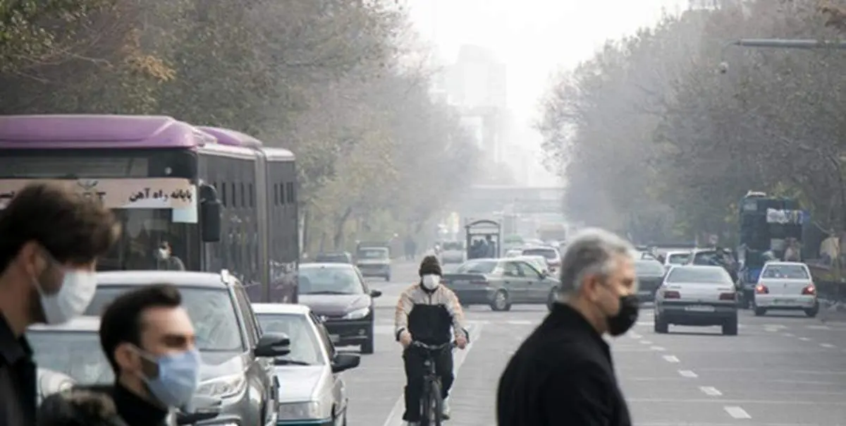 در هوای آلوده چه خوراکی هایی را بیشتر بخوریم؟