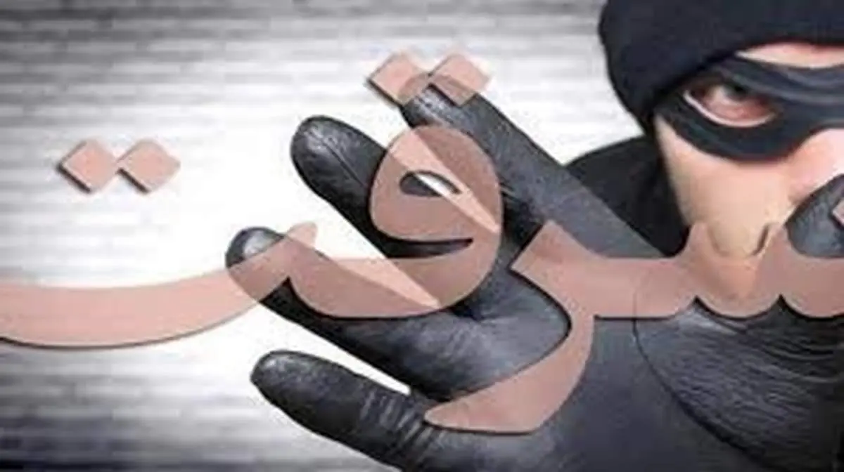  ۳ سارق با ۱۷ فقره سرقت  دستگیر شدند 