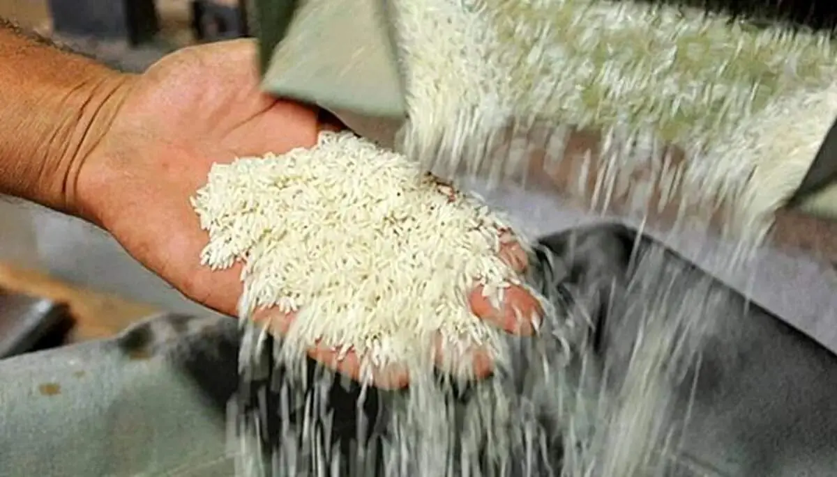 قیمت برنج پاکستانی دو برابر هندی شد