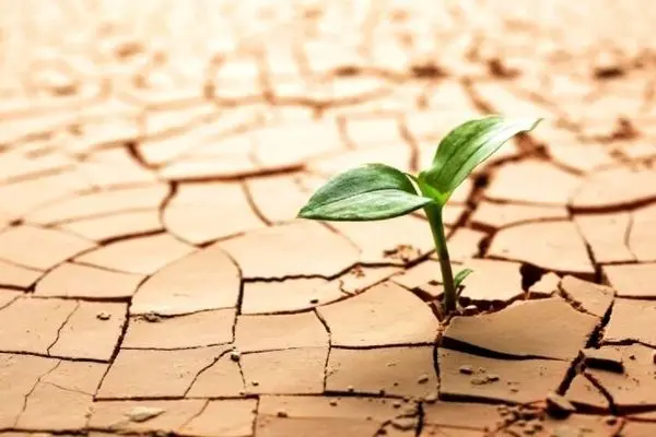 شدیدترین خشکسالی یک قرن اخیر در تهران