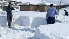 ببینید/ برف یک‌متری در ارتفاعات استان کرمان