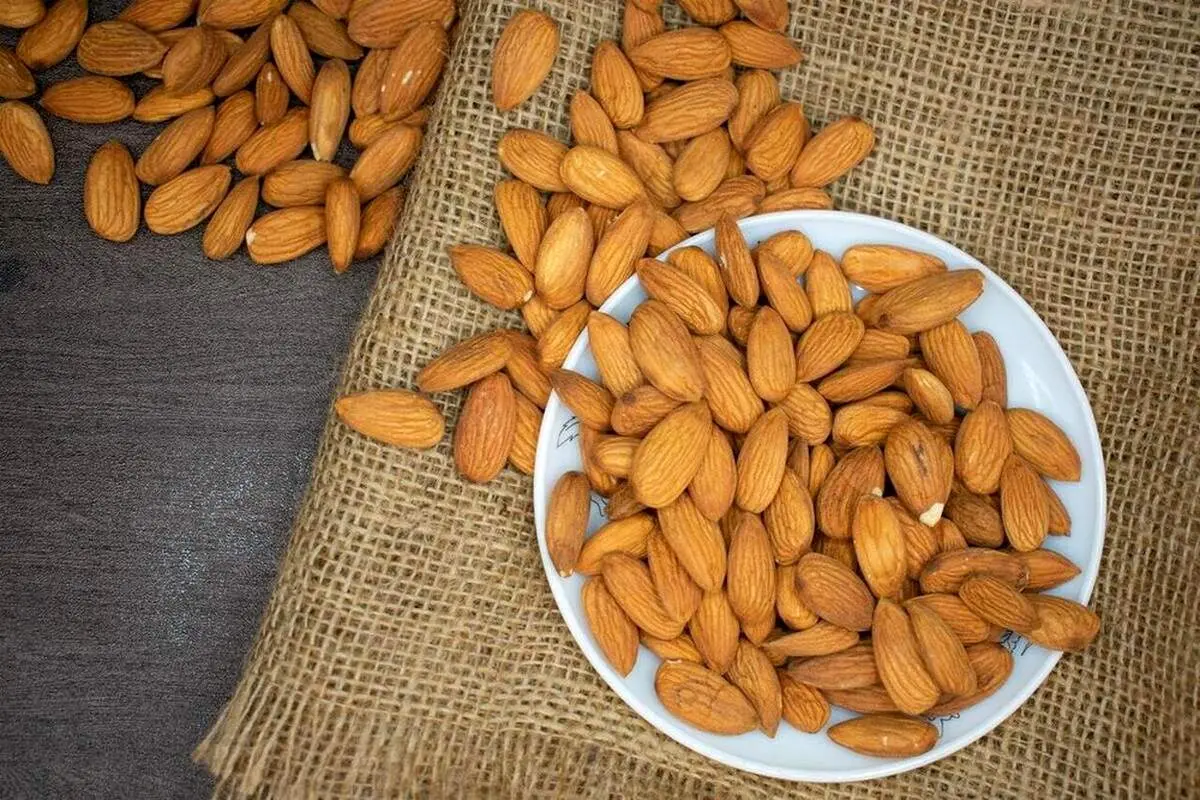 با این ۳ خوراکی شگفت‌ انگیز صبح را آغاز کنید!