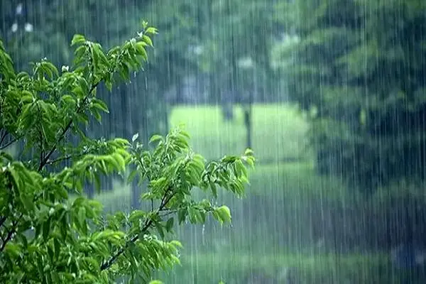بارش شدید در این مناطق کشور