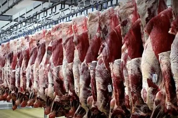 گوشت ۶۰۰هزارتومانی جایگزین گوشت دولتی شد