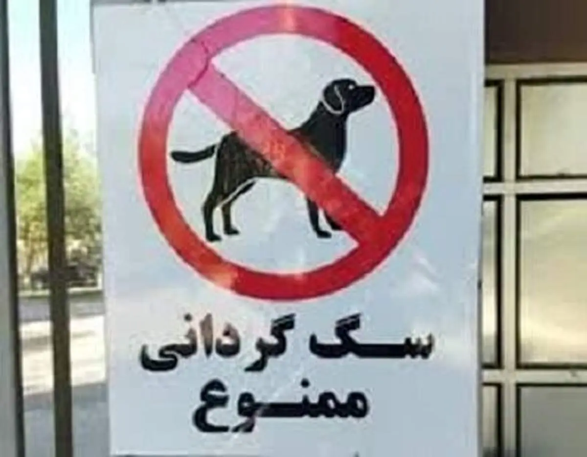 پس از افتتاح ، مهد سگ پلمپ شد