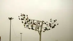 هشدار؛ وضعیت بنفش در اهواز 

