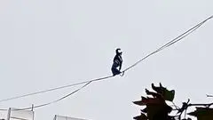 ببینید/ حرکت خطرناک دختر جوان روی سیم‌های معلق بین ساختمان