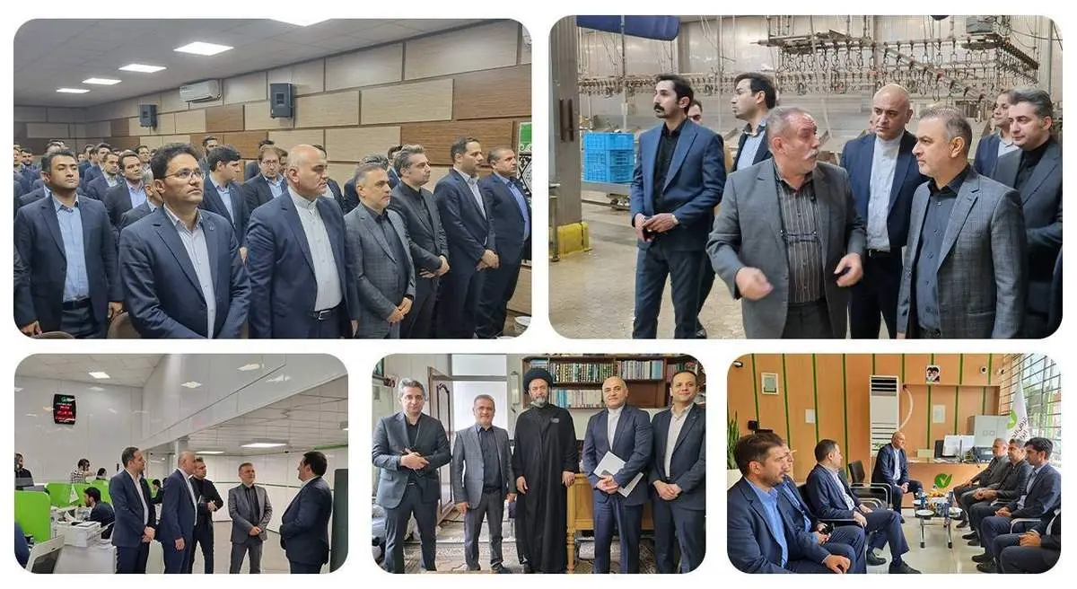 یکی از وظایف کنونی بانک قرضالحسنه مهر ایران تأمین مالی برای کسبوکارهای خرد است