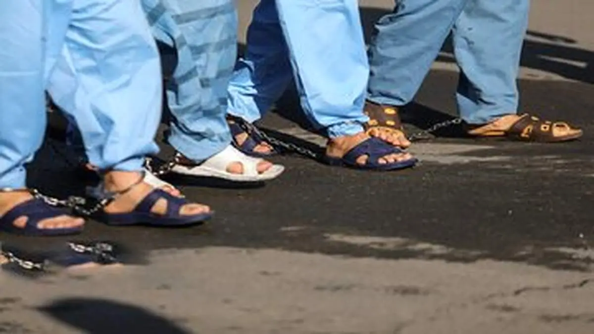 انهدام باند کلاهبرداری شرکت هرمی