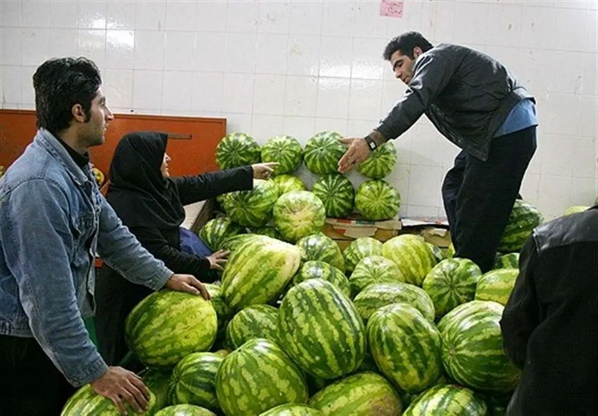 ۱۲۰ هزار تن هندوانه برای شب یلدا 