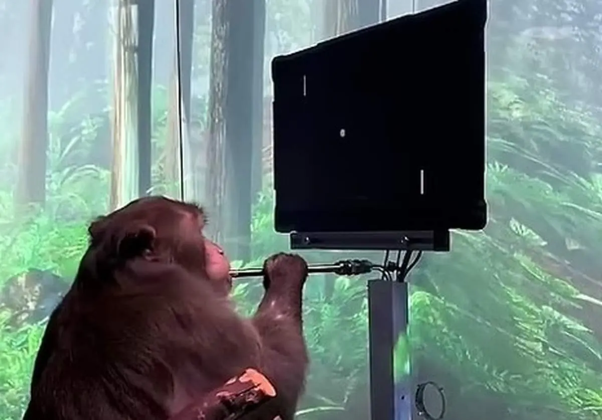 گام بلند ایلان ماسک برای کنترل کامپیوترها تنها با فکر / مجوز کاشت دومین تراشه مغزی در آمریکا صادر شد