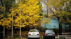 هواشناسی خبر خوش داد/ تشدید بارش‌ها از فردا؛ سامانه جدید سه‌شنبه وارد می‌شود