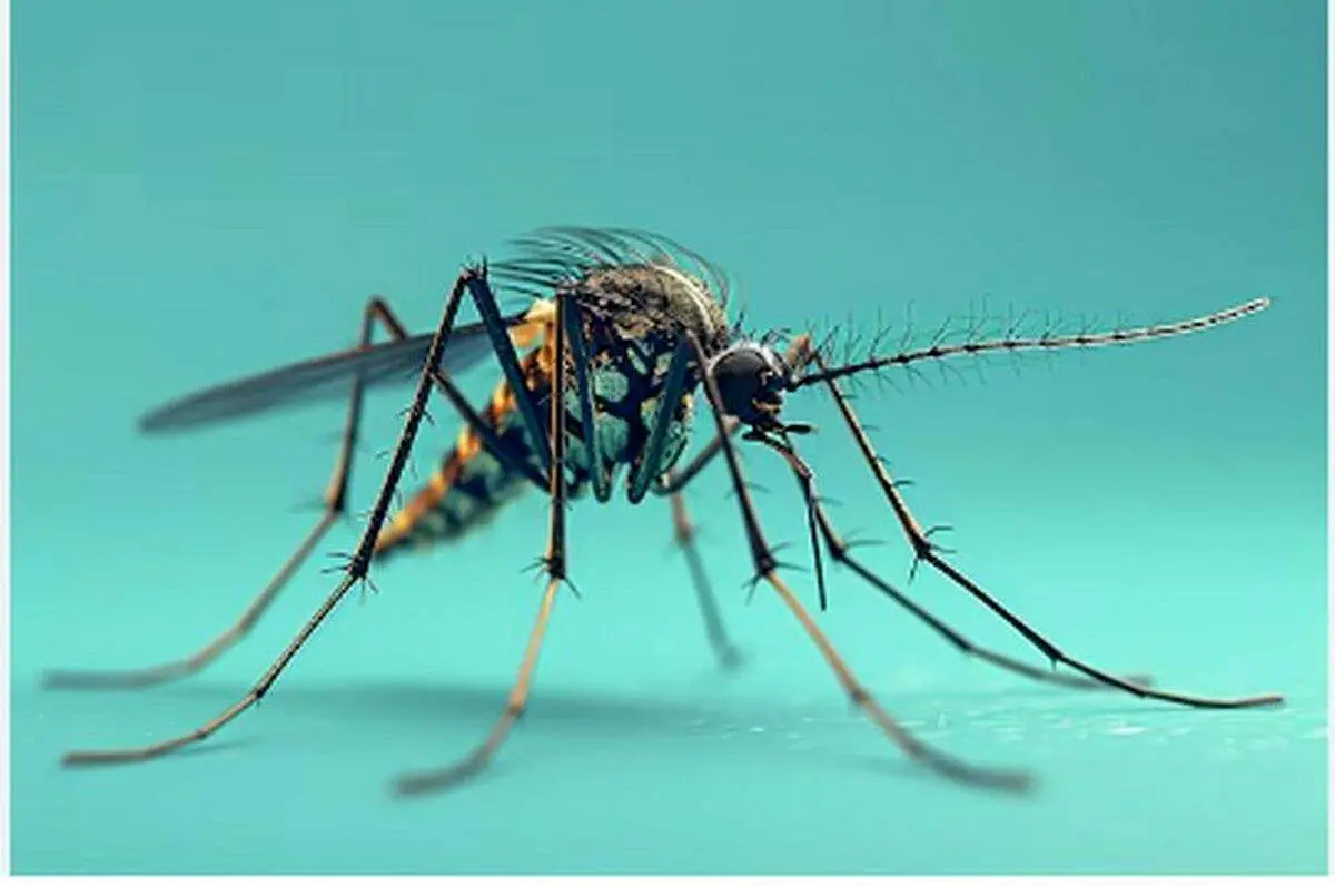 اعلان هشدار به تهرانیها!