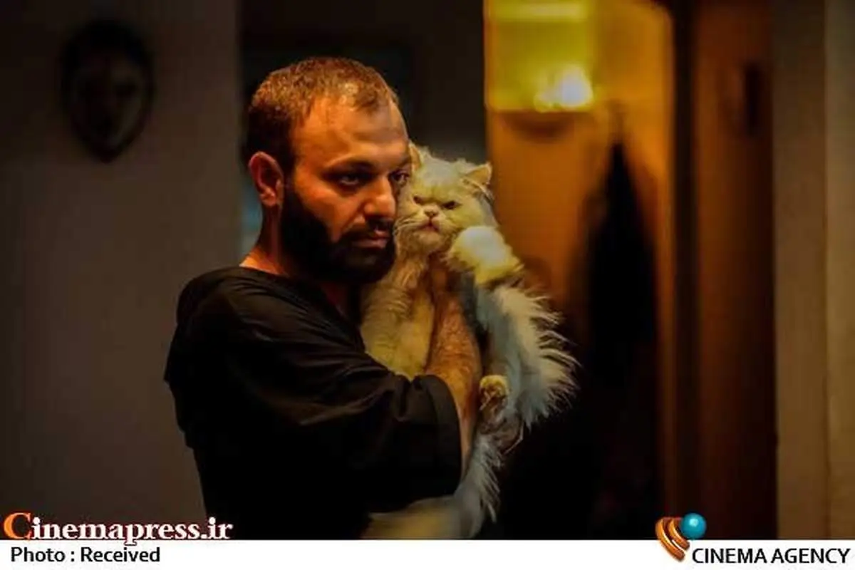 رونمایی از «صابر ابر» در «لاک پشت»/عکس