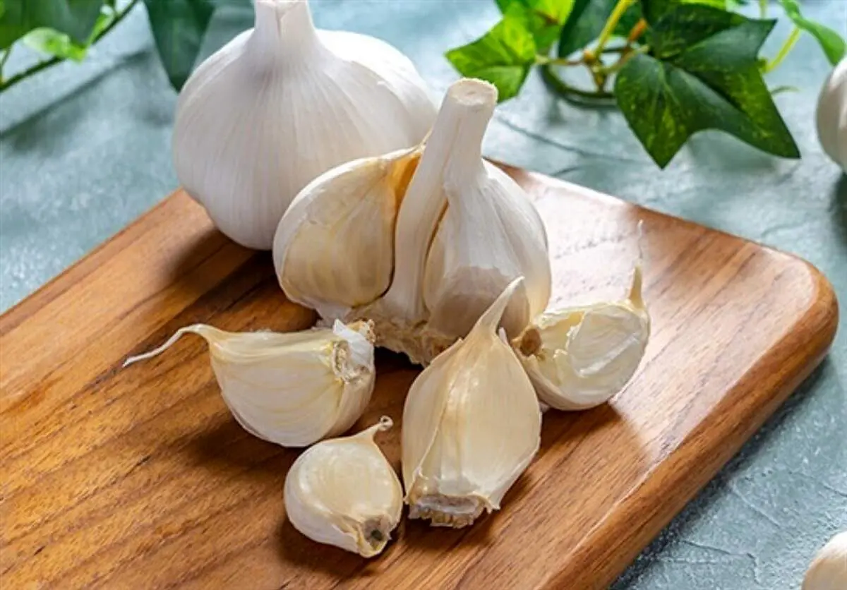 راهکار ساده خلاص شدن از شر بوی بد سیر