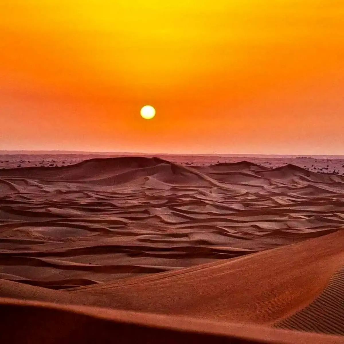 ۱۵ نفر در کویر طبس گُم شدند