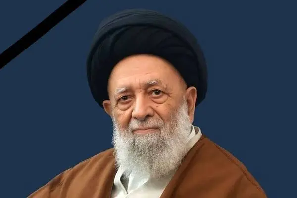 زندگی نامه سید علی اکبر موسوی یزدی