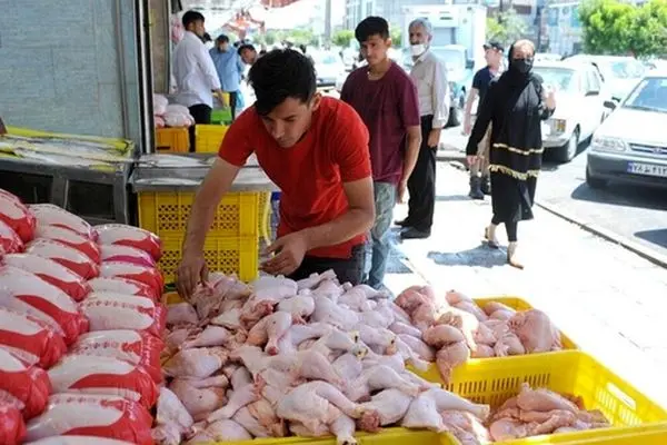 قیمت جدید مرغ رسما اعلام شد