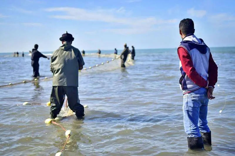 مرگ منابع آبزی با صید ترال و دفره 