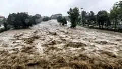 کیش غرق شد!/ فیلم