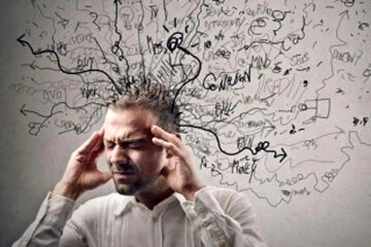 کدام غلات و میوهها تقویتکننده حافظه هستند؟