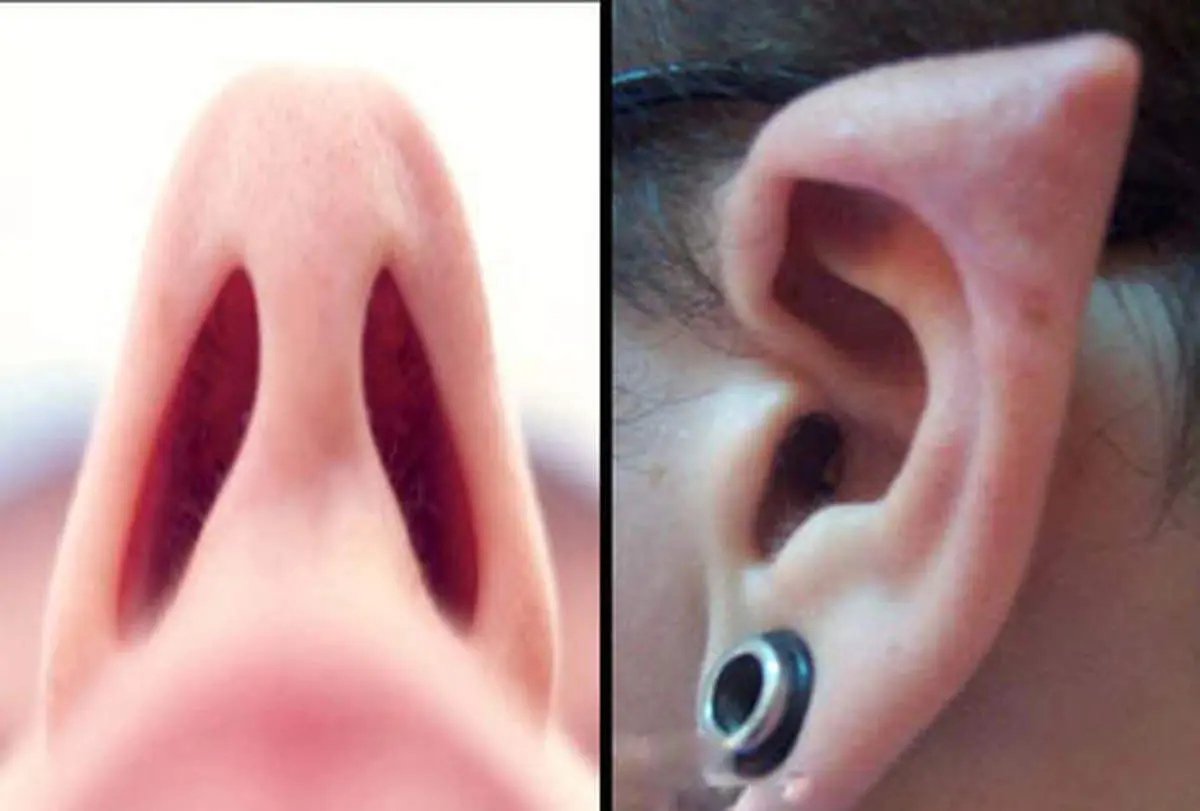 زیبایی های غیر متعارف؛ از نصف کردن زبان تا گوش الاغی!