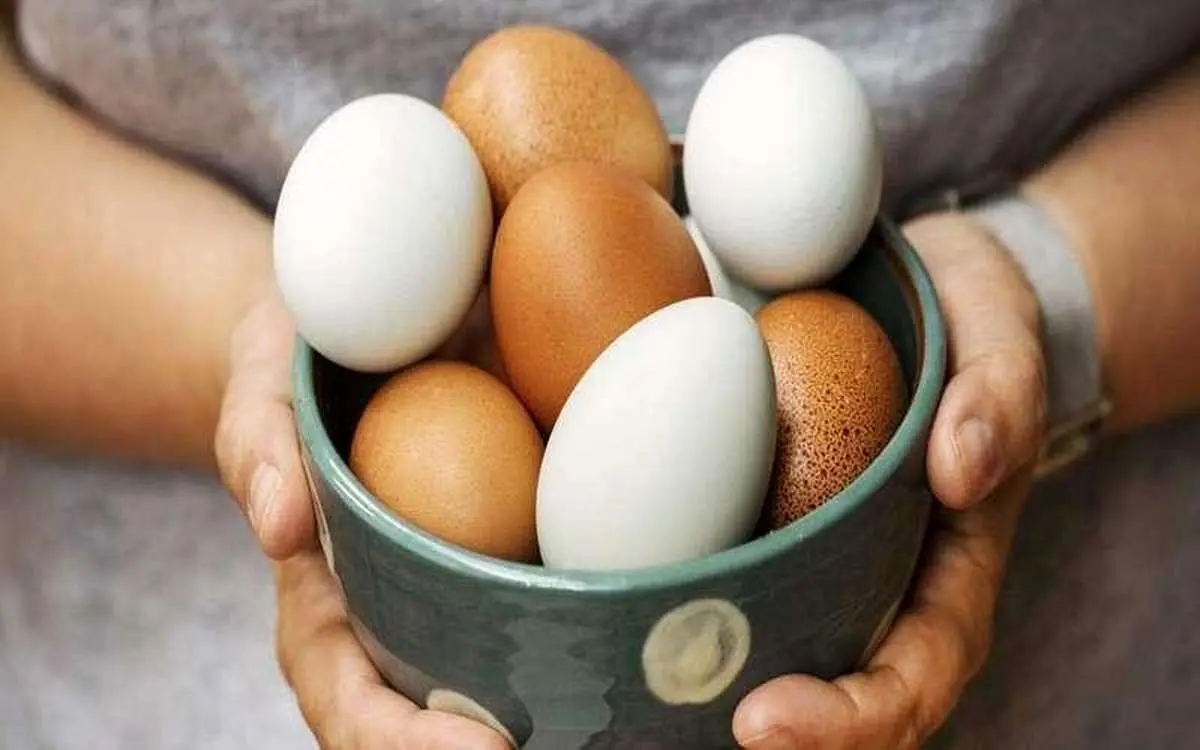 آیا خوردن تخممرغ هر روز برای بدن ضرر دارد؟