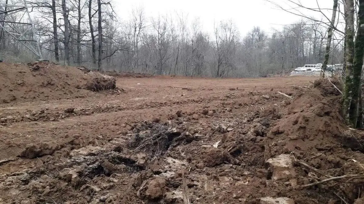 مدیر مجموعه گردشگری الیمالات بازداشت شد