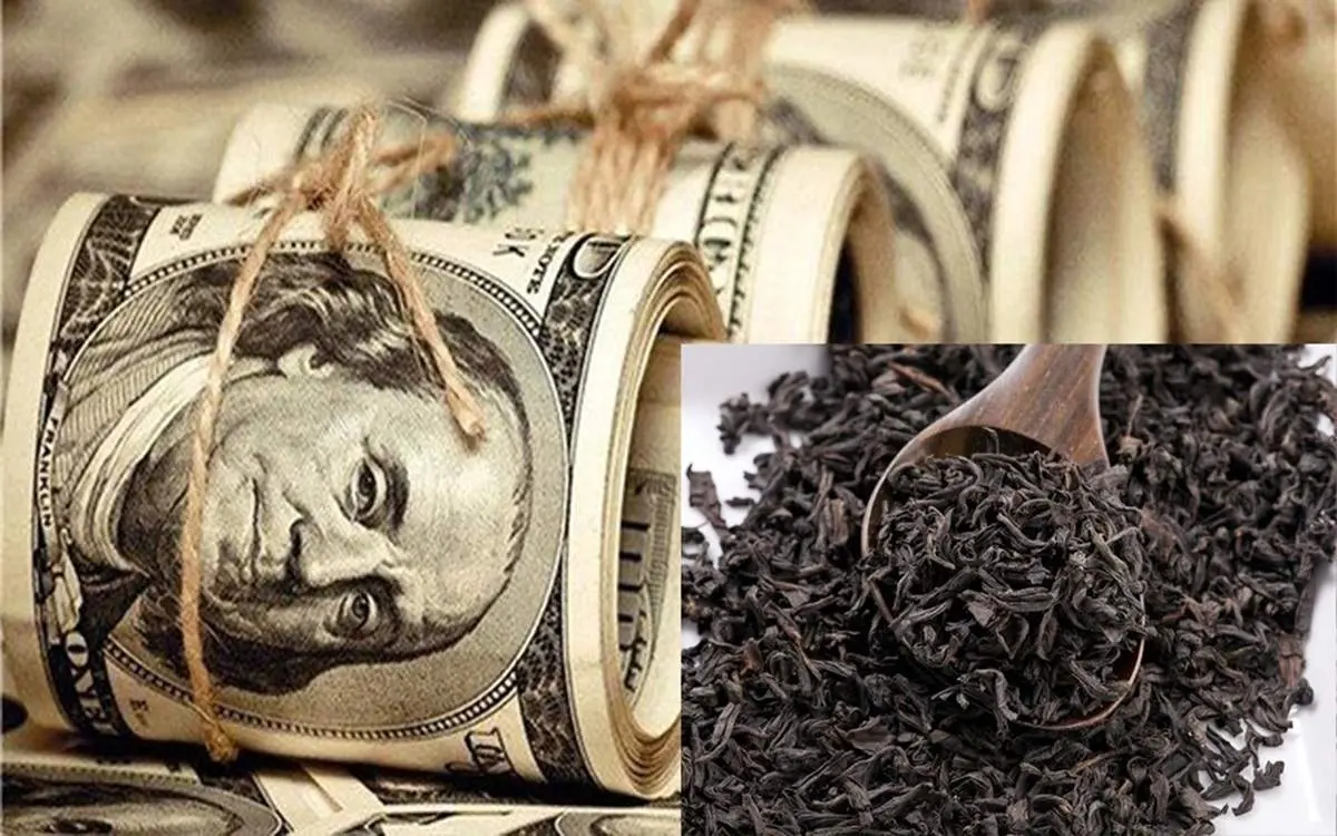 چای دبش تائیدیه سلامت داشت؟