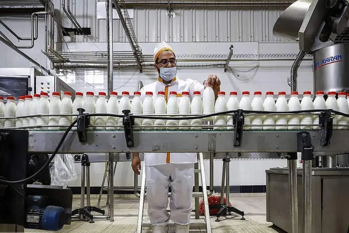 قیمت محصولات لبنی گران تر از حد معمول شد