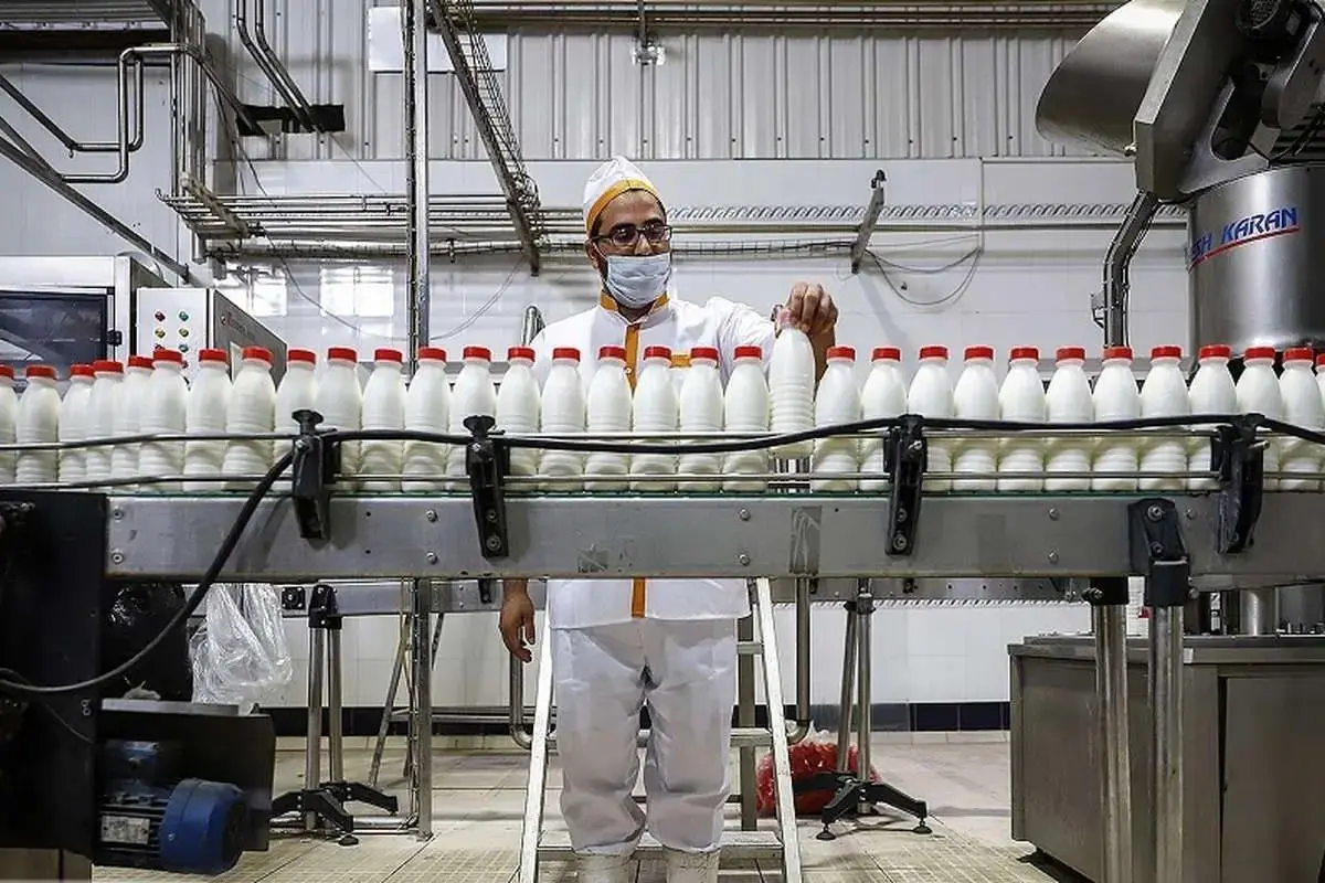 قیمت محصولات لبنی گران تر از حد معمول شد