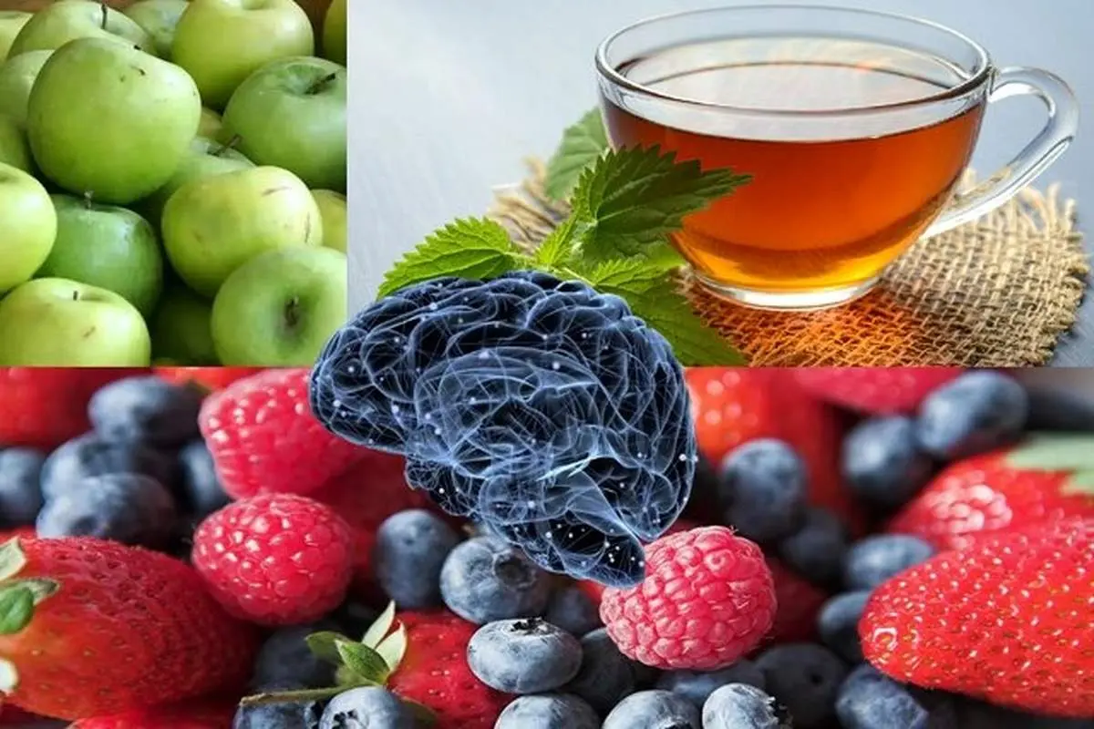 فرمول طبیعی برای پیشگیری از کاهش حافظه در کهنسالی