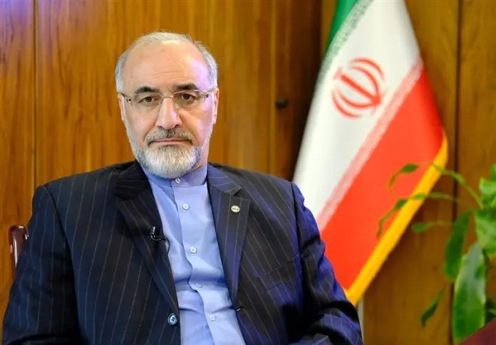 محمدرضا سبزعلیپور: باید نسبت به فعالیت فعالان اقتصادی واقع بین بود(4)