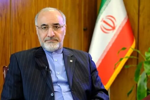 محمدرضا سبزعلیپور: باید نسبت به فعالیت فعالان اقتصادی واقع بین بود(4)