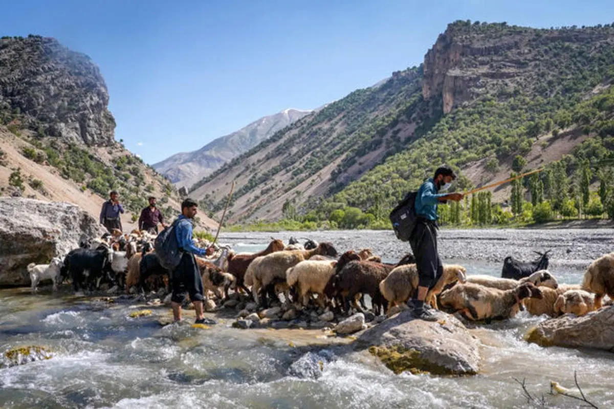 گام مثبت دولت برای عشایر تهران