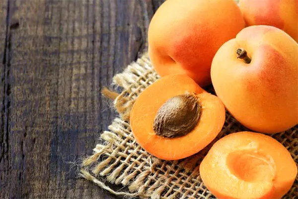 ماده‌ای مثل سیانور در هسته زردآلو!