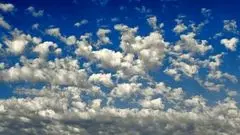 رنگ سال ۲۰۲۶ رسماً اعلام شد/عکس