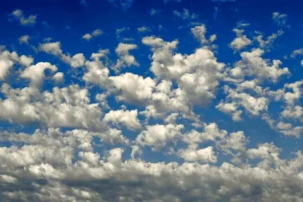 رنگ سال ۲۰۲۶ رسماً اعلام شد/عکس