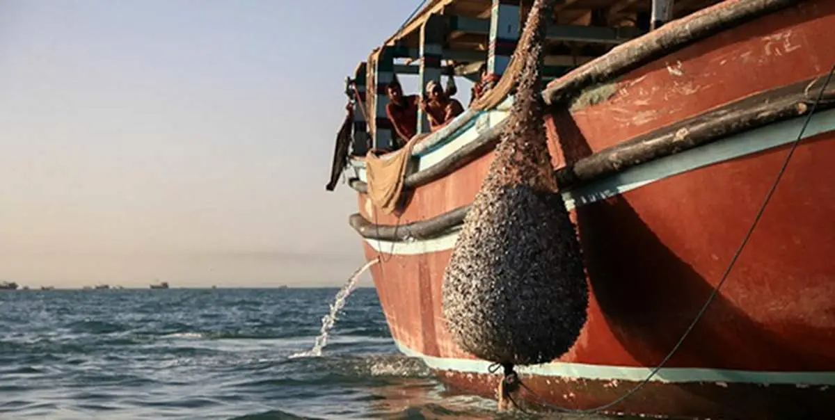 صید میگو در آبهای هرمزگان آغاز شد