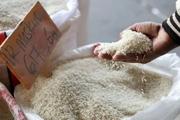 قیمت برنج به شدت گران شد