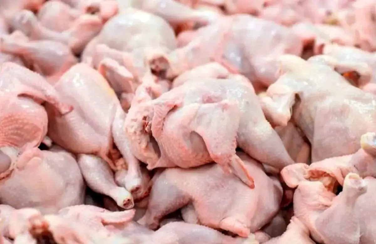 رکوردشکنی بی‌سابقه قیمت‌ها در بازار / قیمت مرغ عجیب شد