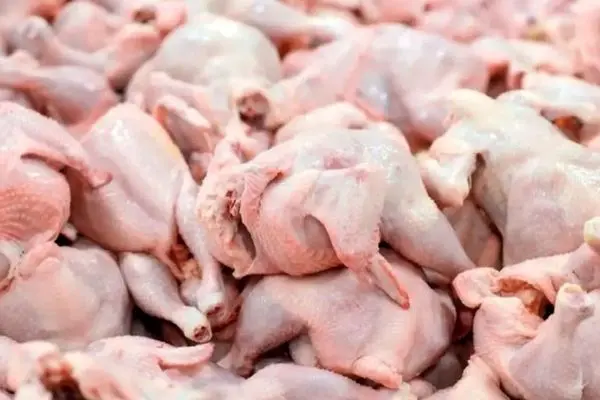 رکوردشکنی بی‌سابقه قیمت‌ها در بازار / قیمت مرغ عجیب شد