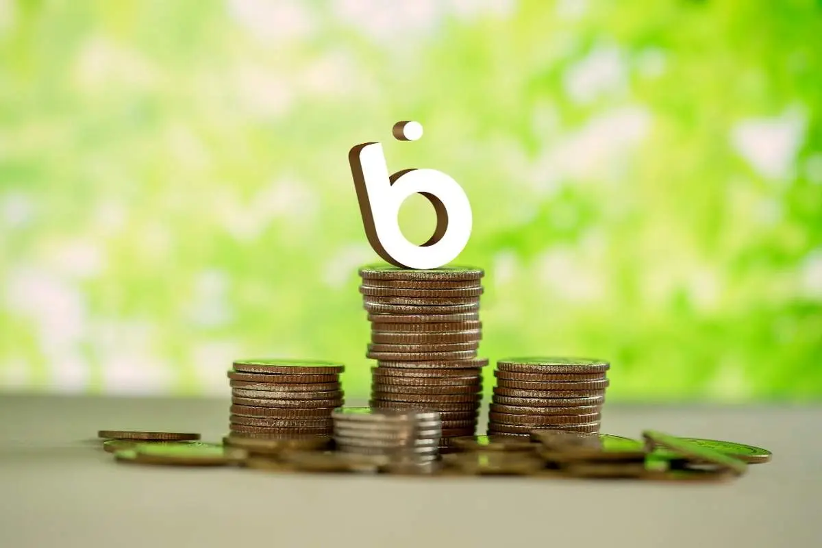 بیضامن و بیوثیقه تا سقف 40 میلیون تومان از بلو وام بگیرید