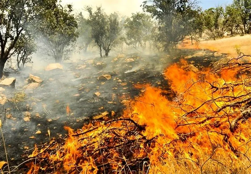 ببینید | تصاویر هولناک از آتش سوزی گسترده در جنگل‌های مریوان