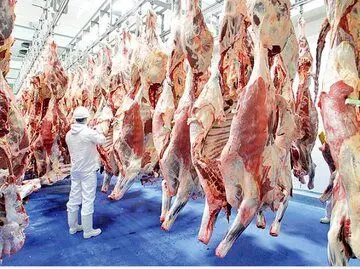  گوشت گوساله از ۲۴۰ هزار تومان به ۷۵۰ هزار تومان رسید
