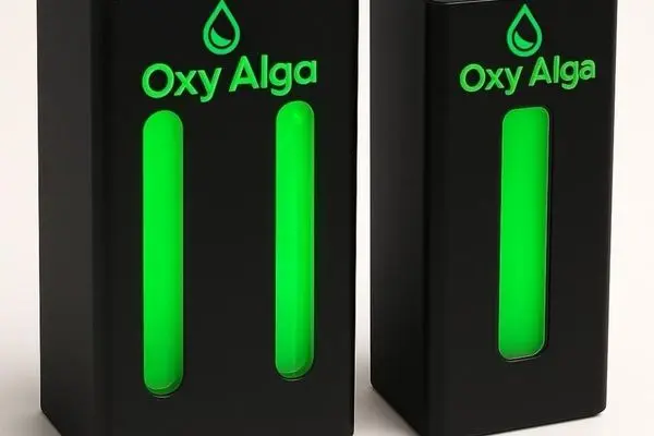 «اکسی آلگا»؛ نسل جدید تصفیه هوا