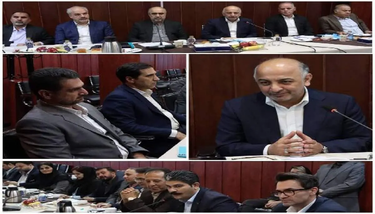 مدیرعامل شرکت بیمه دی: تحول دیجیتال در بیمه دی حوزه فعالیت نمایندگان را گسترش داده است

