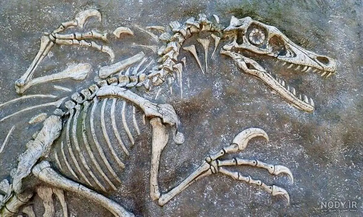 کدام مناطق ایران محل زندگی دایناسورها بوده است؟