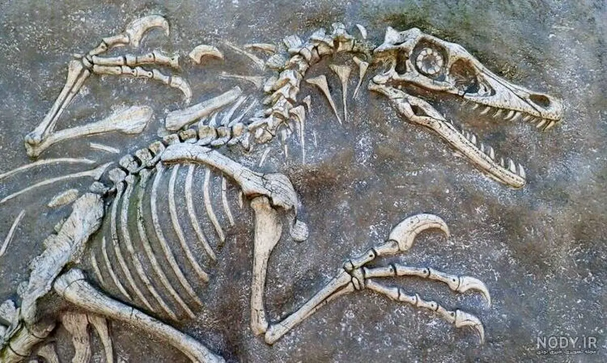 کدام مناطق ایران محل زندگی دایناسورها بوده است؟