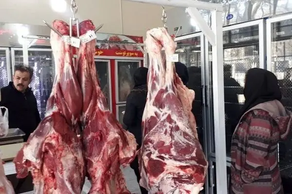 عرضه گوشت گرم در میادین میوه و تره بار / اعلام نرخ میوه و آجیل شب یلدا